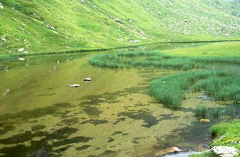 Am Simmingsee, Gschnitztal, Tirol, 1989