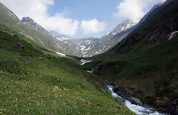 Timmeltal bei Prägraten, Osttirol, 1992