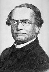 Gregor Mendel. Lithographie, um 1870., © Ch.Brandstätter Verlag,für AIOU