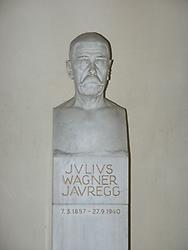 Wagner-Jauregg, Denkmal