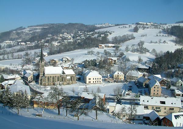 Kleinraming im Winter