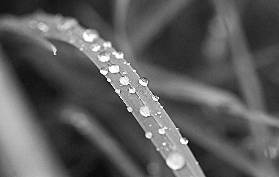 Trübes Wetter