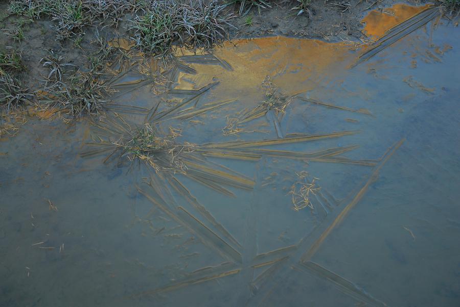 Gefrorene Pfütze mit Eisblume