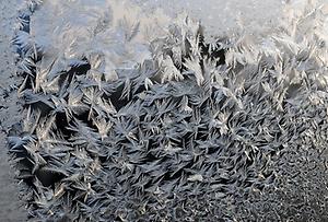 Eisblumen von der ZAMG, ©Dr. Reinhard Böhm