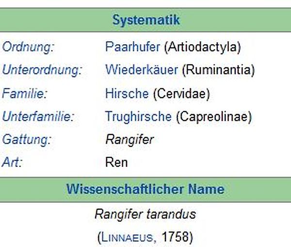 systematik.JPG