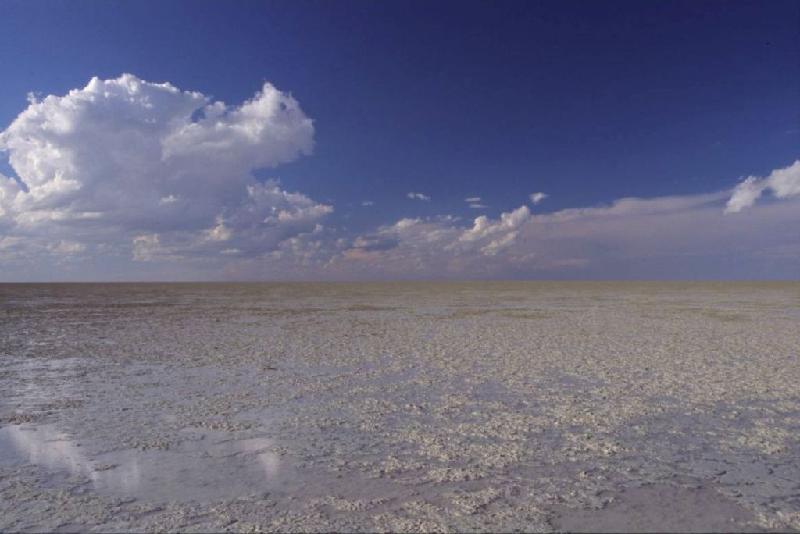 Bild 'ktrummer_namibia2003_083'