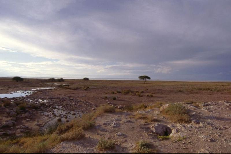 Bild 'ktrummer_namibia2003_041'