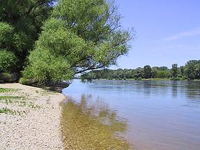 Donauufer bei Mannswörth