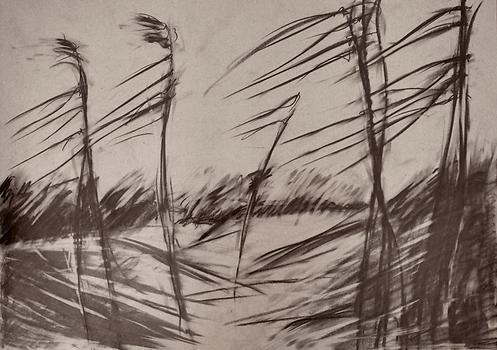 Hasenjagd | Horizonte, 2021, Graphit auf grauem Papier, 42 x 59,4 cm