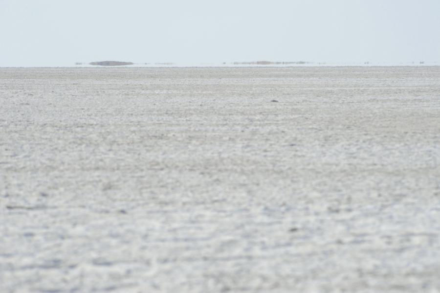 Makgadikgadi Pan