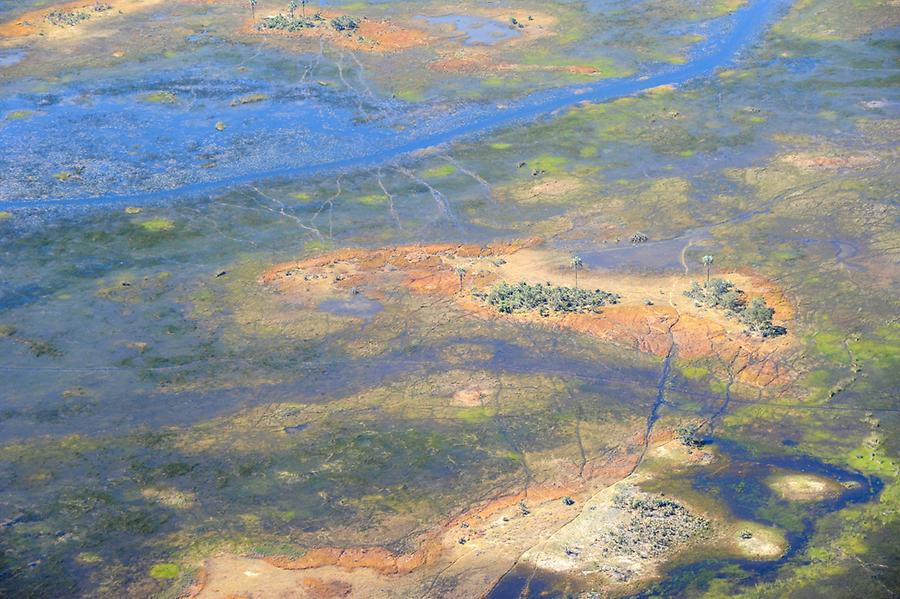 Flight over Okavango