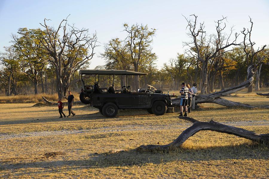 Moremi National Park