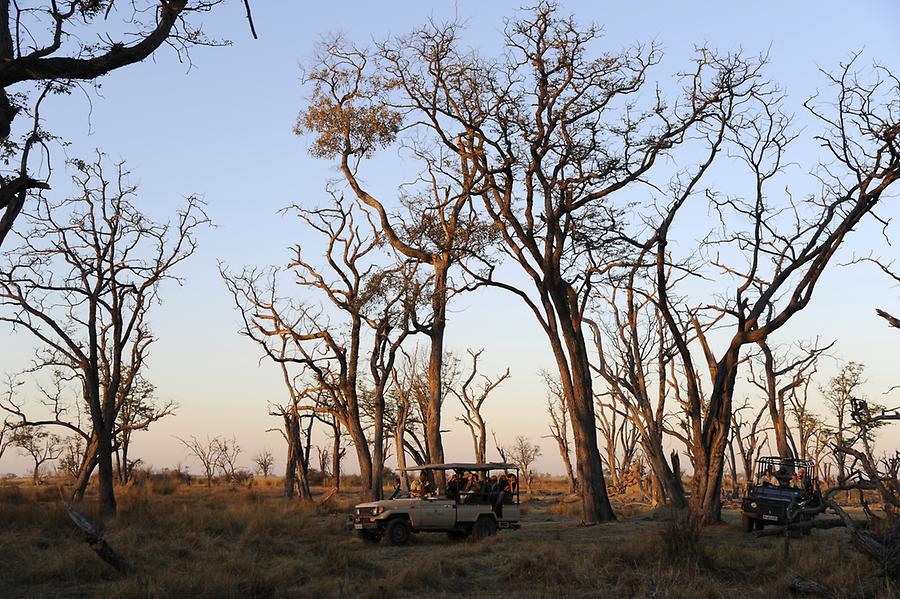 Moremi National Park