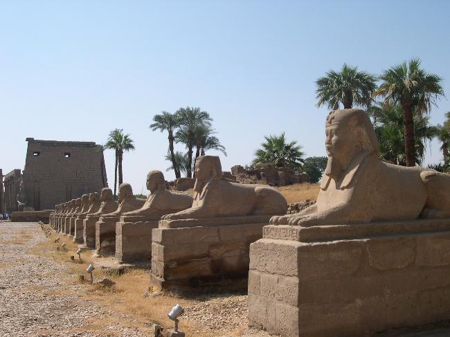 Avenue of Sphinxes, Luxor (1)
