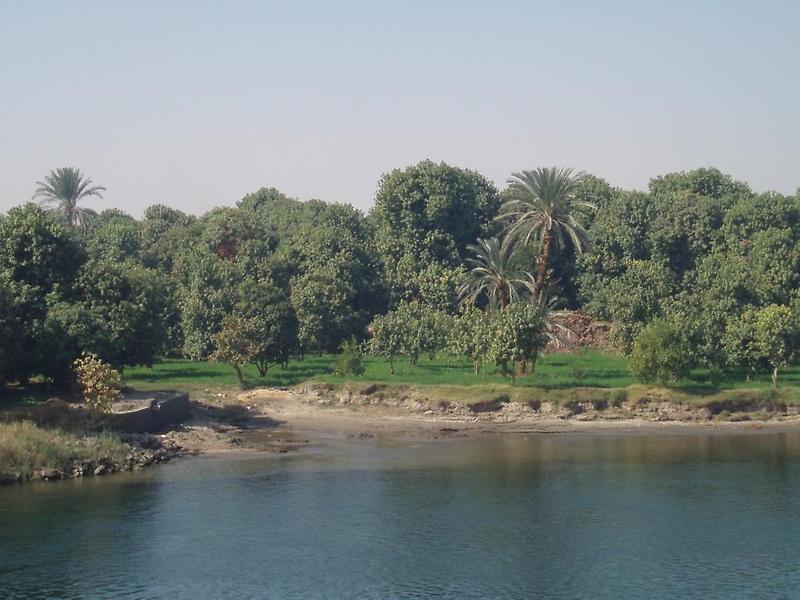 Nile River, Edfu (2)