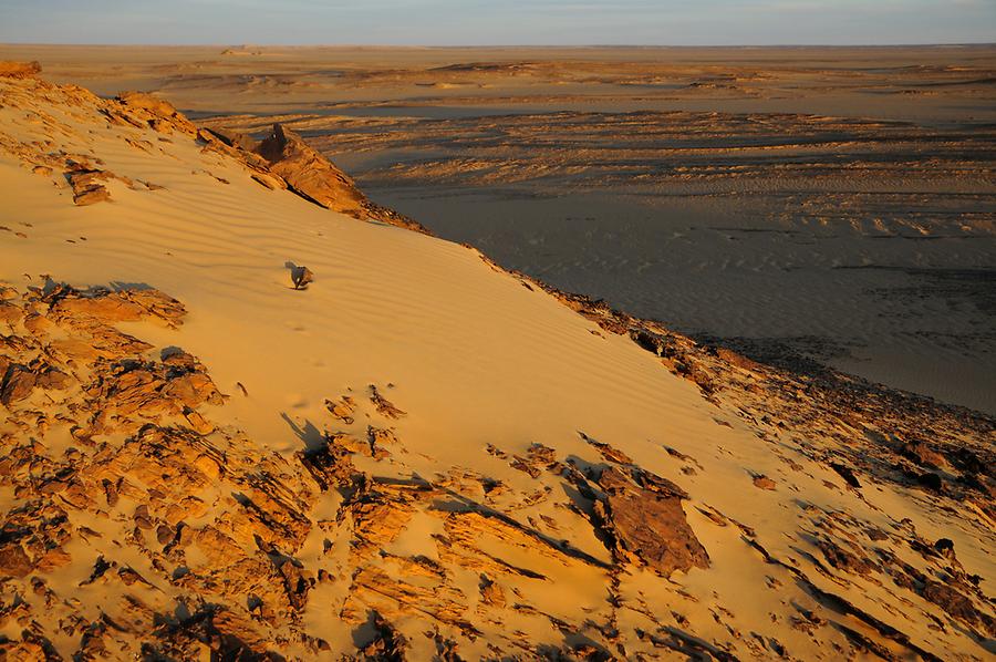 Desert near Bir Kiseiba