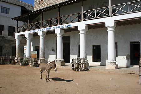 Lamu