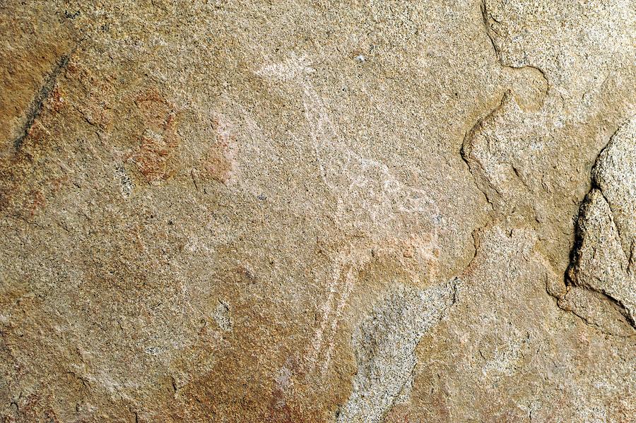 Phillips Cave Petroglyphs
