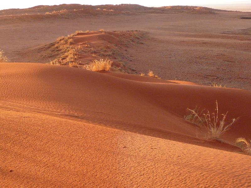 Namib Desert