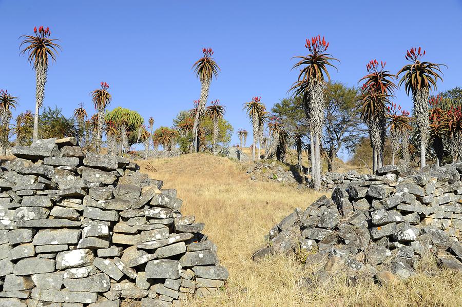 Valley of Ruins