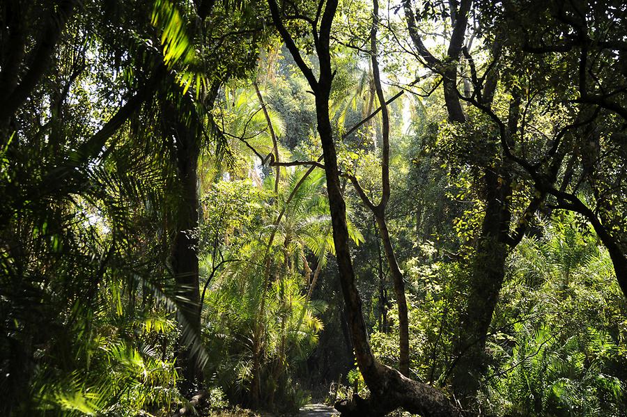 Victoria Falls National Park