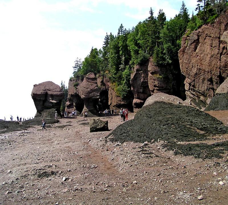 The Bay of Fundy