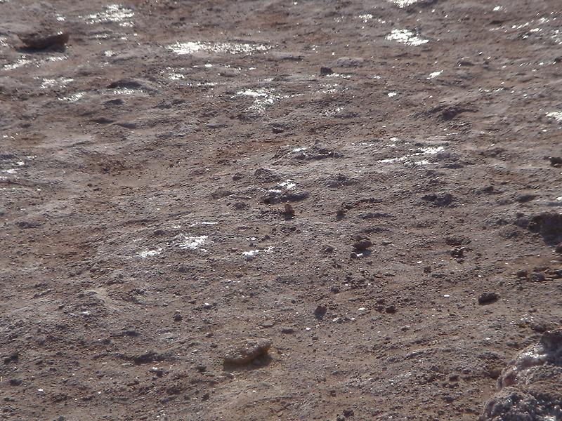 Valle de la Luna