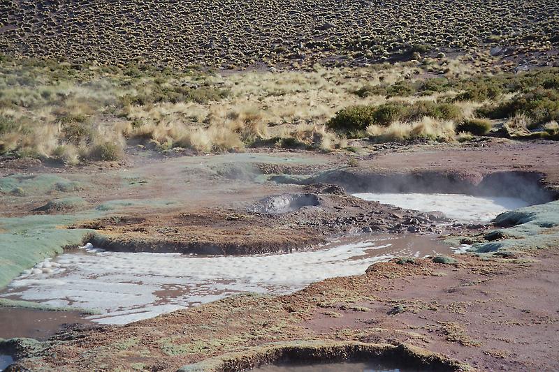 Geysers at daybreak