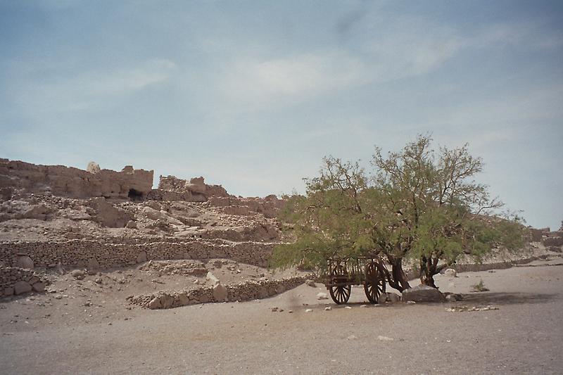 Ruins of an Inca Stronghold