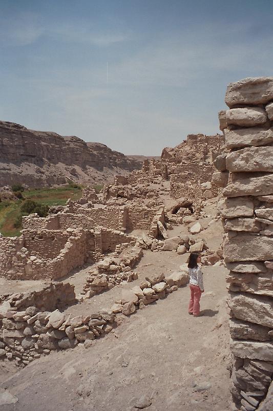 Ruins of an Inca Stronghold