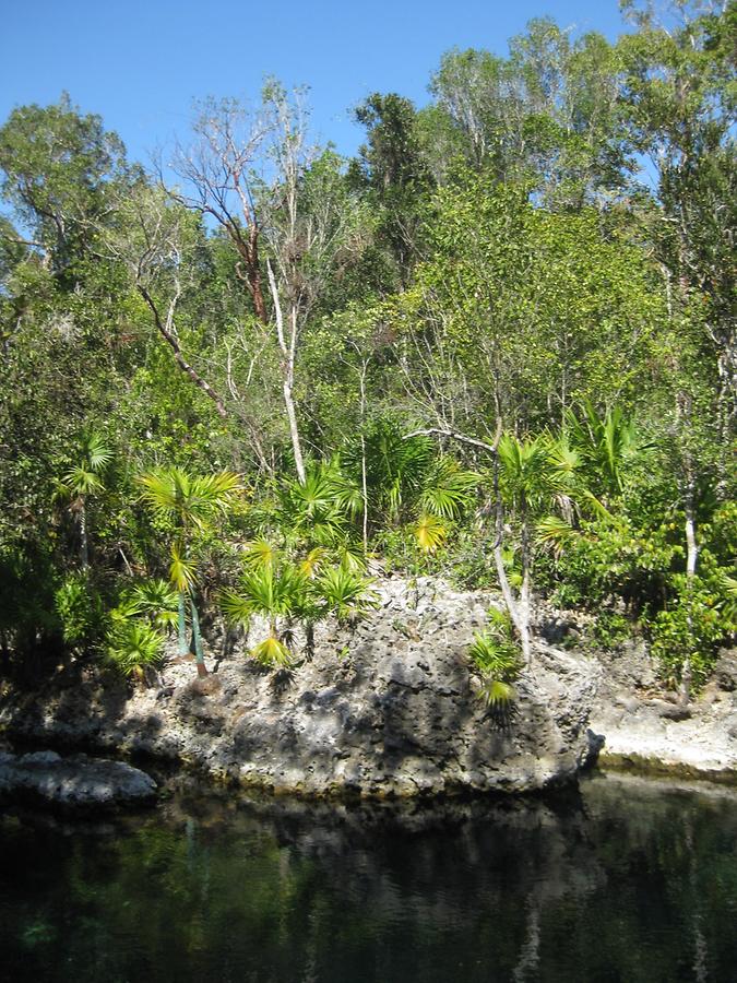 Bahia de Cochinos - Cueva de Pesces - Cenote