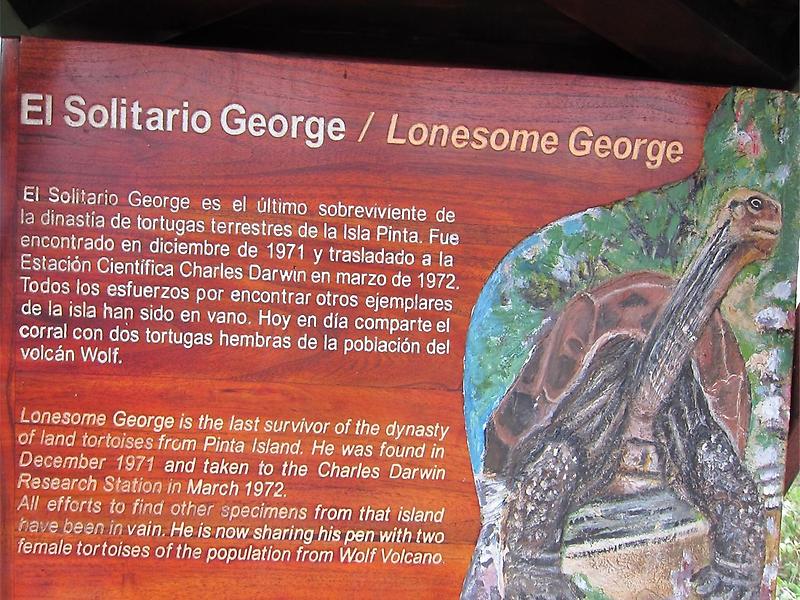 Lonesome George, Sign