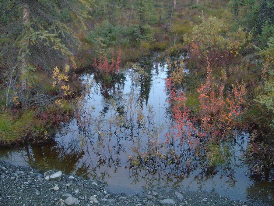 Near Lake Louise, Photo: H. Maurer, 2005