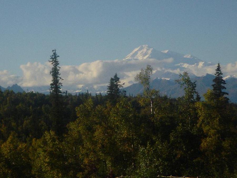 Denali, Photo: H. Maurer, 2005