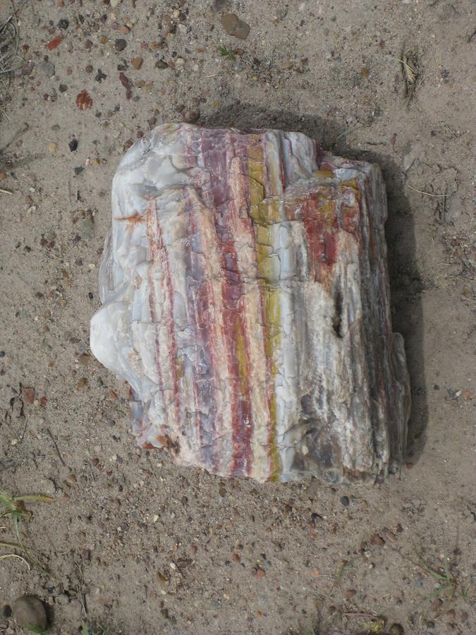 Petrified Forest Painted Desert National Park