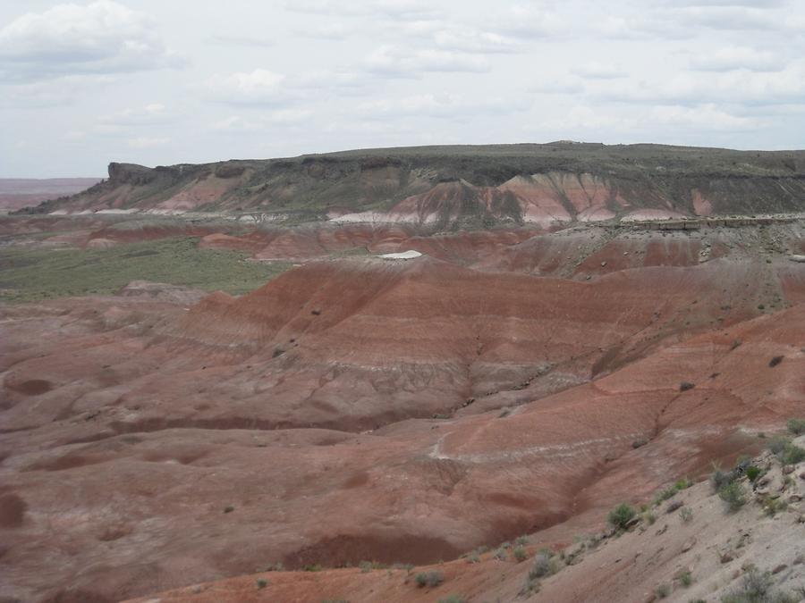 Petrified Forest Painted Desert National Park