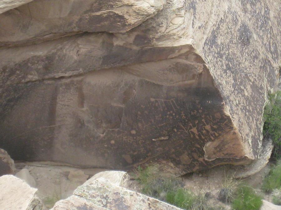 Petrified Forest Painted Desert National Park Newspaper Rock