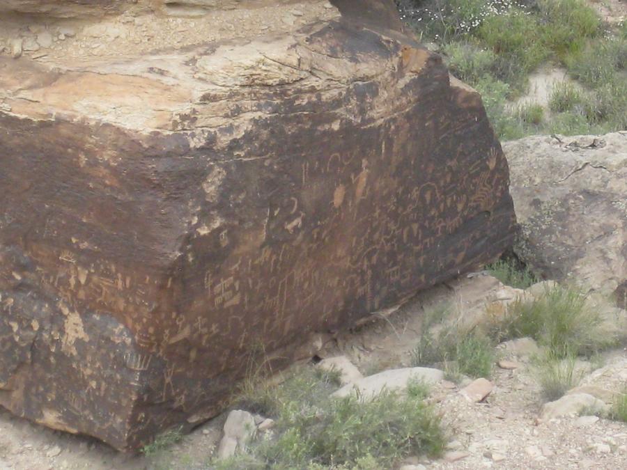 Petrified Forest Painted Desert National Park Newspaper Rock