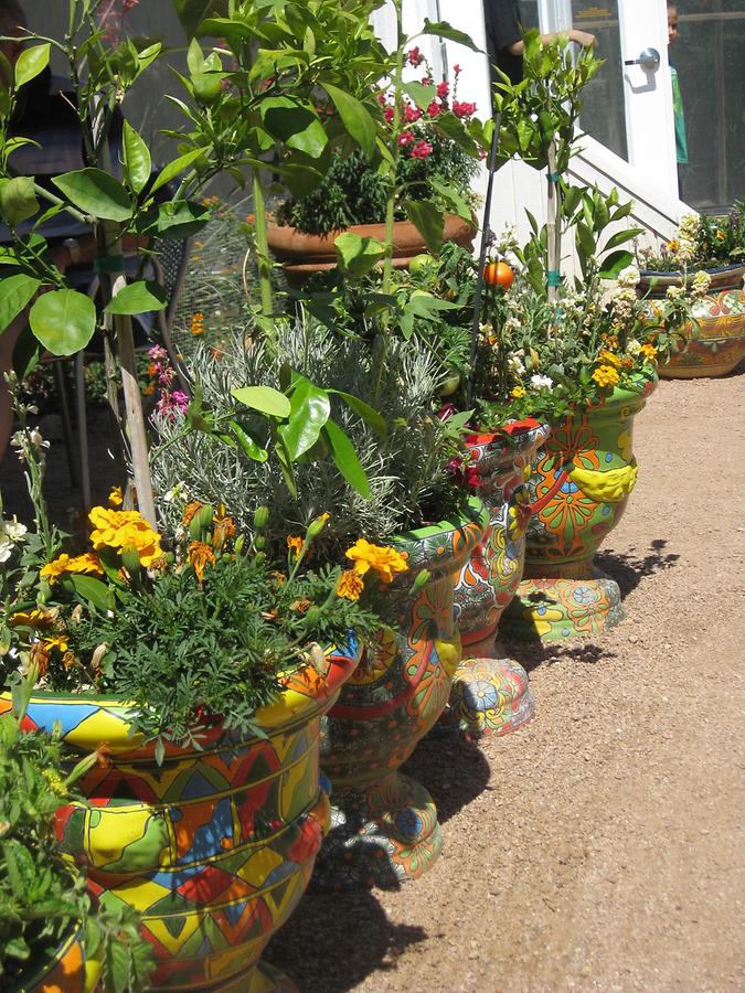 Phoenix Desert Botanical Garden