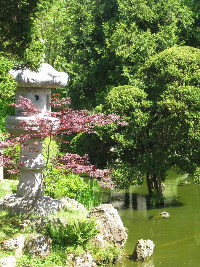 San Francisco Golden Gate Park Japanese Tea Garden