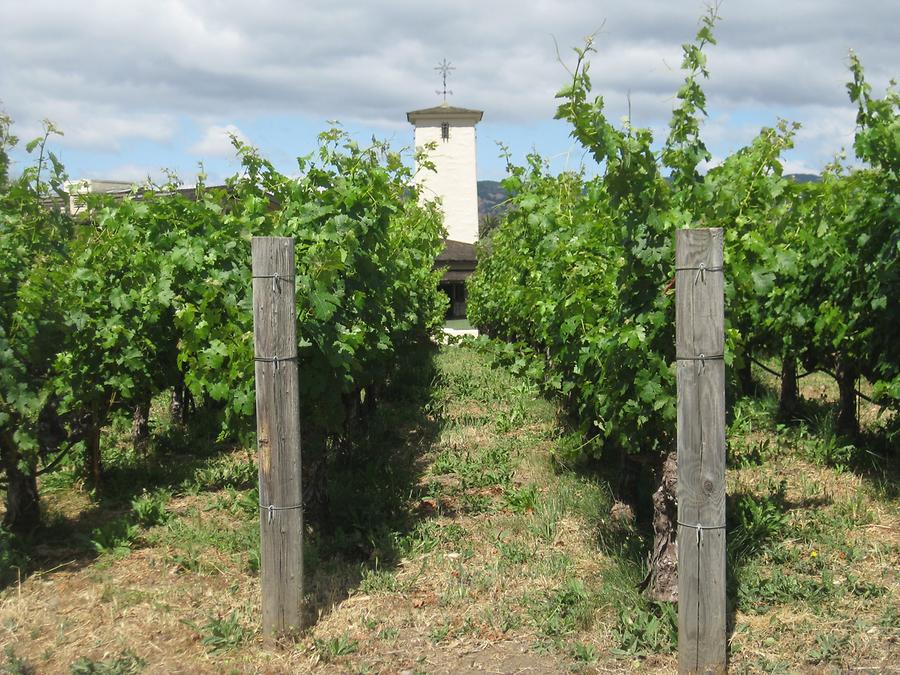 Napa Valley St. Helena Robert Mondavi Winery