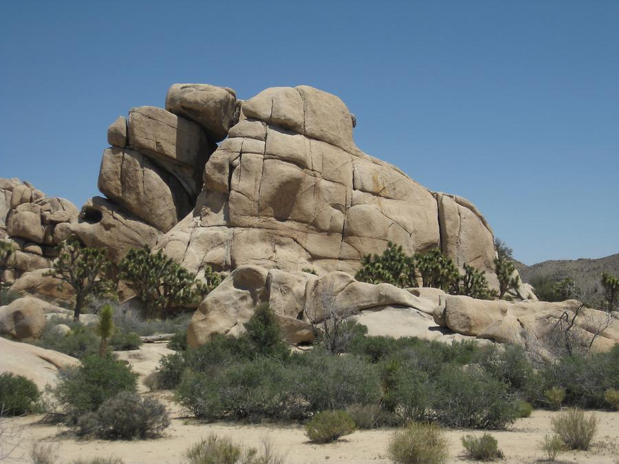 Joshua Tree National Park