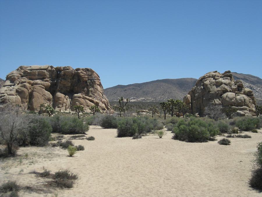 Joshua Tree National Park