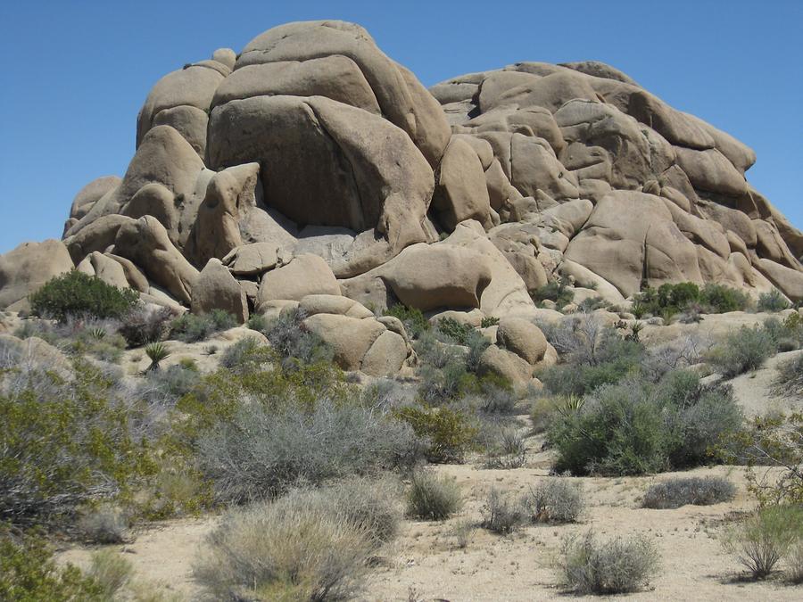 Joshua Tree National Park