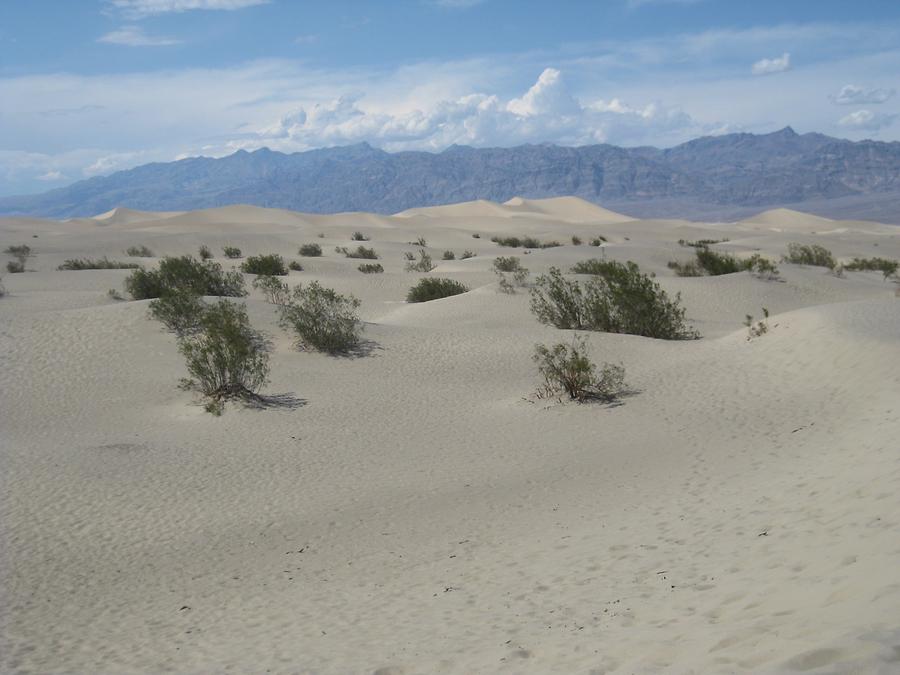 Death Valley National Park Mesquite Flat Dunes