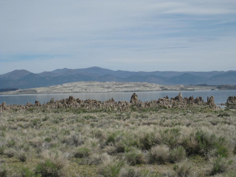 Mono Lake Tufa