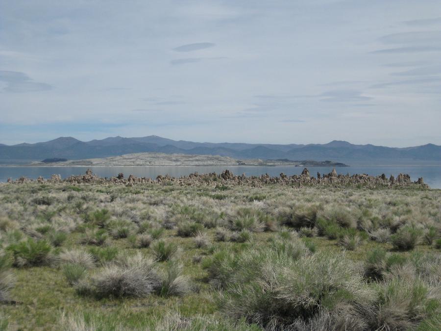 Mono Lake Tufa