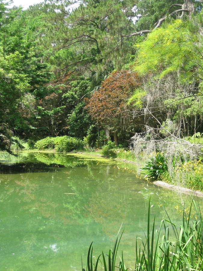 Tallahassee Alfred P. Maclay State Gardens