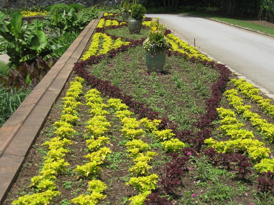 Asheville Biltmore Estate Garden