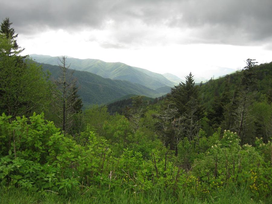 Great Smoky Mountains